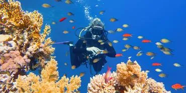 Padi Open Water diving course for beginners